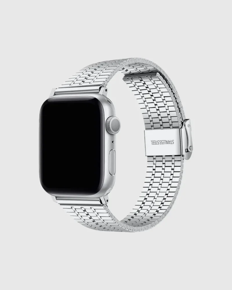 Titan Stainless Steel Apple Watch Band - Silver